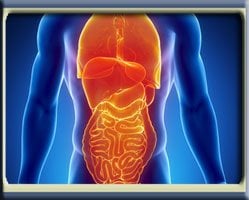 Slider image (7) Victoria Medical Center